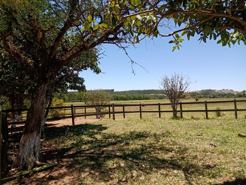 Imagem 11 de 20 de Sítio 6 Alqueires Em Angatuba Sp, Oportunidade... Com 2 Casas Sede E Caseiro... Sede 4 Quartos 3 Wc, Cozinha Sala Copa Lavanderia Garagem Para Até 3 Veículos, Barracão De Trato E L - St00008 - 687704
