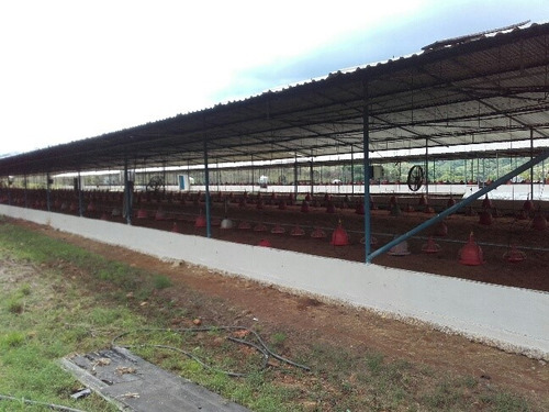 Granja Avicola Ganadera Minera Tinaquillo, Negociable