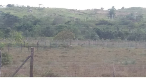 Imagem 1 de 2 de Vende-se Terreno Em Camaçari- Bahia