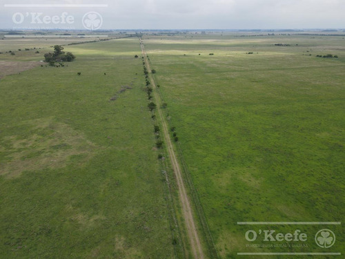 Imagen 6 de 25 de Campo Mixto De 75 Has - Buen Acceso A 3 Km De Ruta 215 - A 1 Hs De Caba