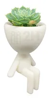 Comprar Maceta Robert Plant Cactus Suculentas Varios Modelos 13cm