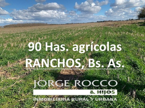 Campo En Venta En Ranchos. 90 Has. Agrícolas