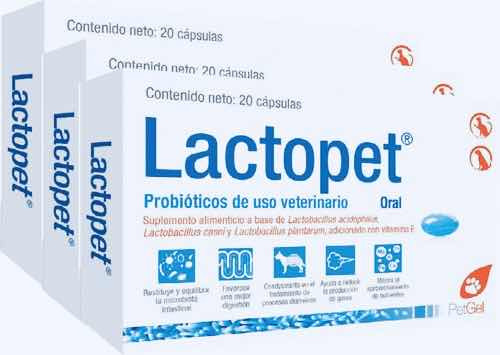 Lactopet Probióticos Como Fortiflora Y Prebioticos