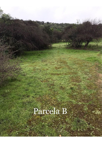 Se Vende Terreno Sector Los Laureles, Limache