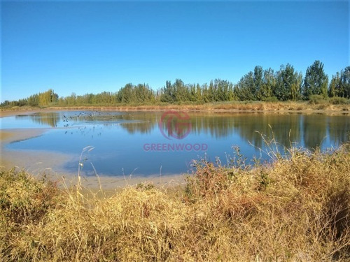 Imagen 3 de 9 de Greenwood Alquila Finca Productiva De 88ha Con Agua De Pozo Y Derecho De Riego