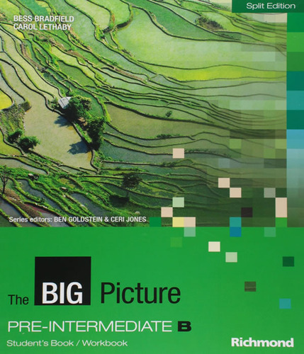 The Big Picture Pre Intermediate B   Split Edition: The Big Picture Pre Intermediate B   Split Edition, De Bess Bradfield / Carol Lethaby. Editora Editora Moderna, Capa Mole Em Português