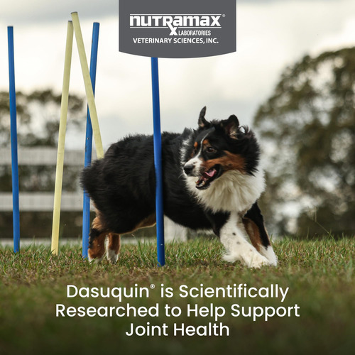 Masticables Suaves Nutramax Dasuquin Con Msm Para Perros
