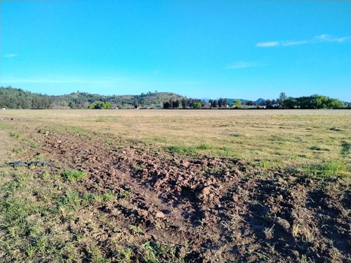 Terreno Agrícola De 33,5 Ha - Campo En Venta, San Clemente