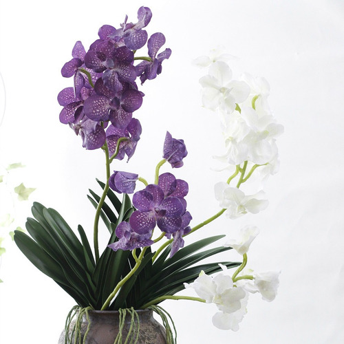 Planta Artificiais Orquídea Vanda Realismo Com Qualidade | Parcelamento sem  juros