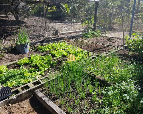 Imagem 27 de 30 de Fazenda Em Padre Joao - Esmeraldas - Fa00002 - 34187187