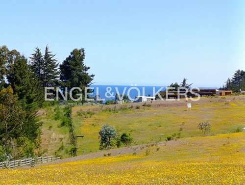 Excelente Terreno En Punta De Lobos