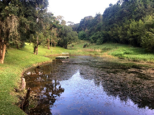 Imagem 6 de 30 de Sítio Á Venda Em Juquitiba-sp Ideal Para Renda! - 159 - 33954608
