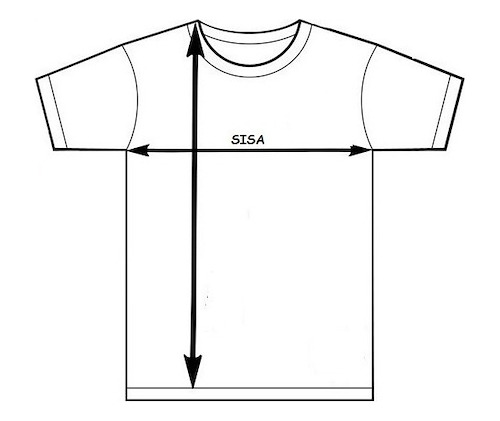 Imagen 3 de 5 de Remera Vinilo Kazuto Kirigaya Kirito Sword Art Online