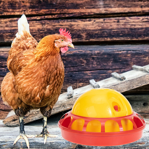 1 Juego Dispensador De Agua Para Aves De Corral Dispensador