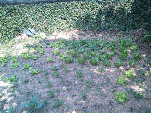 Imagem 15 de 15 de Casa Em Itapecerica Da Serra Bairro Jardim Tereza Maria - V754