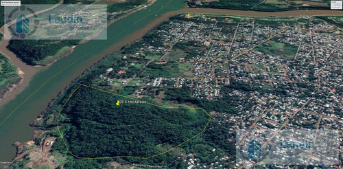 Imagen 2 de 13 de Se Vende 26 Hectáreas Sobre El Rio Paraná- Cataratas Del Iguazú.
