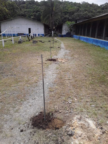 Imagem 5 de 14 de Granja Upd Matrizes Suínas, Em Integração Vertical