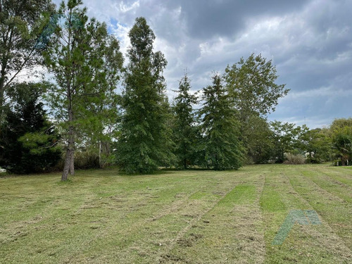 Imagen 5 de 10 de Terreno - Casuarinas Del Pilar