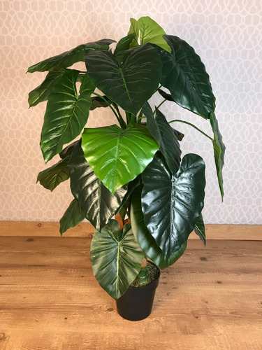 Planta Flor Artificial Decoração Taro Orelha Elefante 110cm | Parcelamento  sem juros