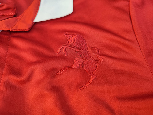 Jersey Torino De Italia Edición Especial 2024