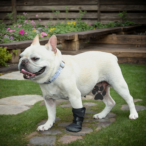 Bota De Recuperación De Heridas Para Perros Fundas Para Pata