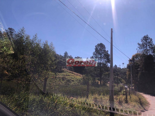 Terreno À Venda, 12217 M² Por R$ 500.000,00 - Pedreira - Arujá/sp - Te0751