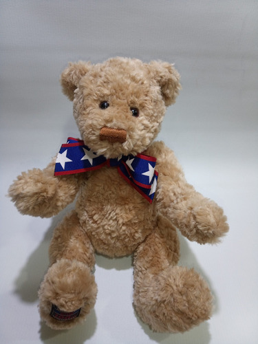 Oso Peluche Teddy Bear 100 Aniversario Original Gund  24 Cms