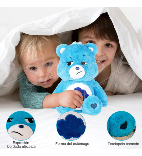 Wnn 2025 Cuddly Bears Plush - Care Bears Grumpy 1a