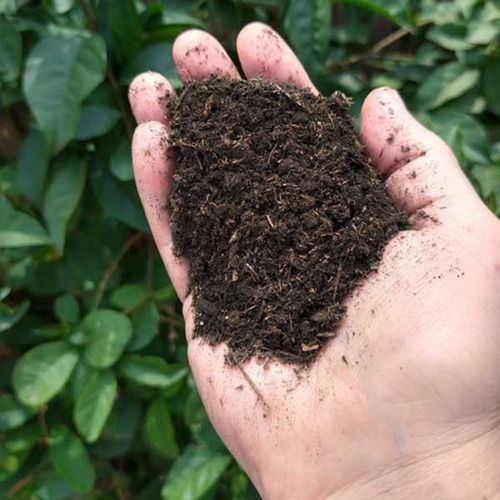 Substrato De Turfa Sphagnum Importada Premium 10 Litros