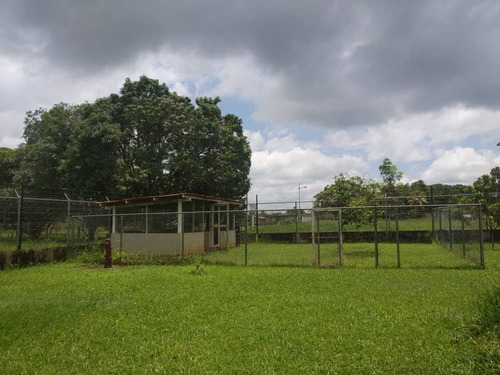 Imagen 27 de 29 de Rosaura Cortez Vende Finca En Sabana Del Medio - Barrera