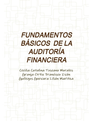 Libro Fundamentos Bã¡sicos De La Auditorã­a Financiera - ...