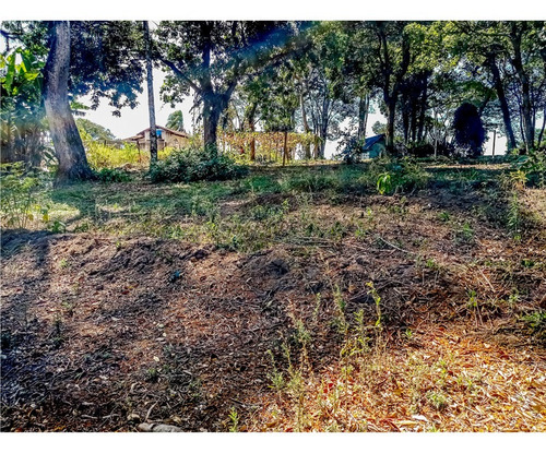 Imagem 9 de 9 de Mairiporã Sp Terreno 256 M² Doc Ok Aceita Veículos