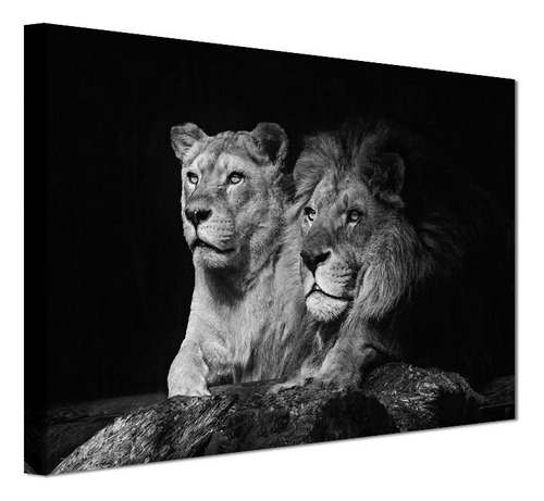 Cuadro Decorativo Canvas Leones, Moderno Para Recamara, Sala