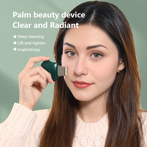 Espátula Portátil F Para Espinillas Y Espátula Facial 1001