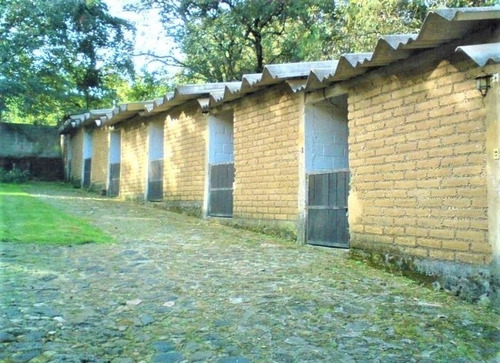 Imagen 12 de 12 de Rancho Al Norte De Cuernavaca