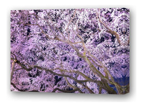 Cuadro 30x30cm Paisaje Japon Hanami Arbol Cerezo Plaza