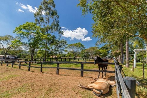 Imagem 29 de 30 de Fazenda À Venda No Bairro Sarapuí - Sarapuí/sp - O-8420-17443