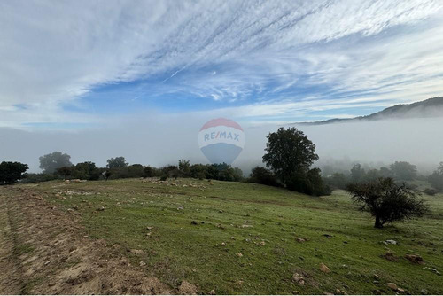 Terreno Con Hermosa Vista