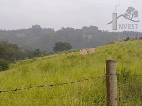 Imagem 1 de 4 de Cód - 5972 - Terreno Em Piedade !! - 5972