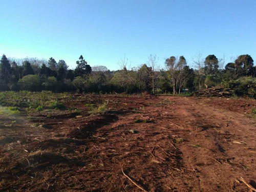 Imagen 1 de 7 de Vendo Lotes Bº Ecologico, Obera - Rn