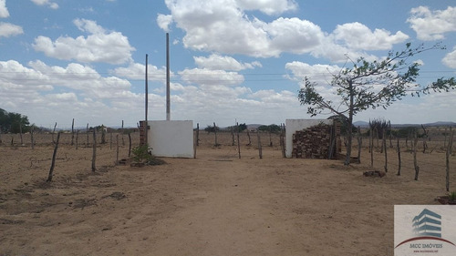 Imagem 7 de 14 de Granja A Venda Em Tangará
