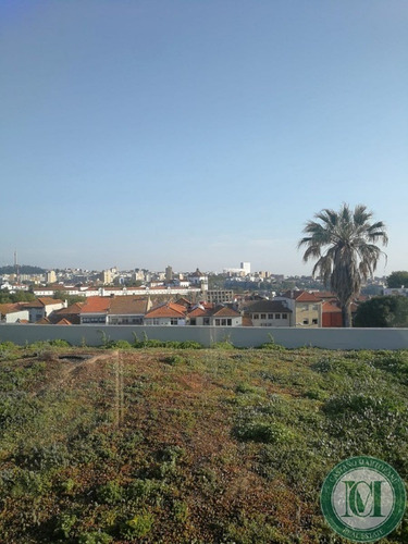 Imagem 16 de 20 de Apartamento - Ap00233 - 34699143