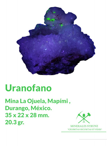 Mineral Radioactivo Mineral Uranio Uv Uranofano Selenita #4