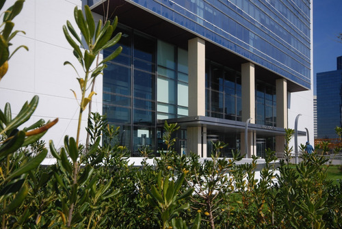 Imagen 2 de 17 de Alquiler Oficinas | Madero Office, C. Grierson 355 | 2456 M²