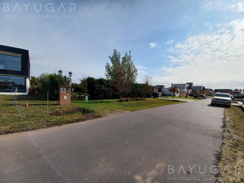 Imagen 3 de 10 de Venta | Muy Buen Lote En Altos De Campo Grande | Bayugar Negocios Inmobiliarios