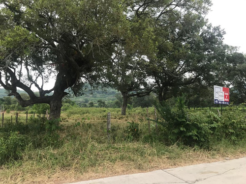 Terreno En Venta En Naranjos En Excelente Ubicación