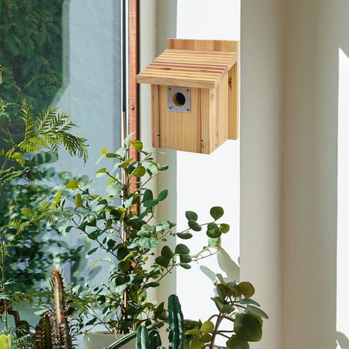Caja De Anidación De Pájaros De La Casa De Pájaros Fuera