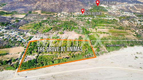 The Crown Jewel At Las Animas, San Jose Del Cabo, Mls #23-131