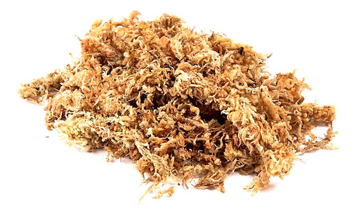 Musgo Sphagnum (100g) Plantas Carnívoras Kokedamas Orquídeas