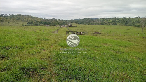 Imagem 1 de 8 de Venda Sítio Ariquemes Em Rondônia - Siv317
